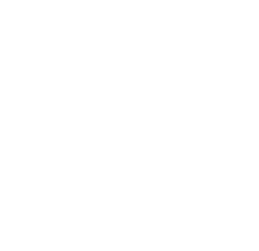 T20 Finalist 1